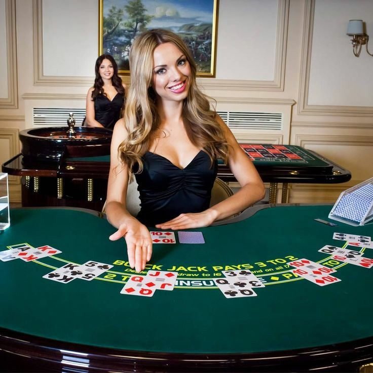 zz66